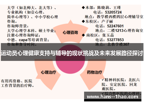 运动员心理健康支持与辅导的现状挑战及未来发展路径探讨