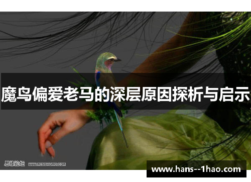 魔鸟偏爱老马的深层原因探析与启示