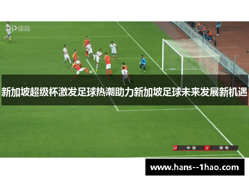 新加坡超级杯激发足球热潮助力新加坡足球未来发展新机遇