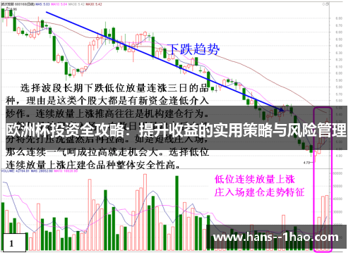 欧洲杯投资全攻略：提升收益的实用策略与风险管理
