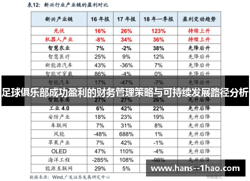 足球俱乐部成功盈利的财务管理策略与可持续发展路径分析 足球俱乐部成功盈利的财务管理策略与可持续发展路径分析